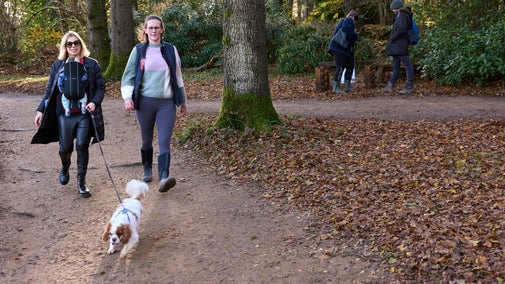 New parents walking a dog in woodland